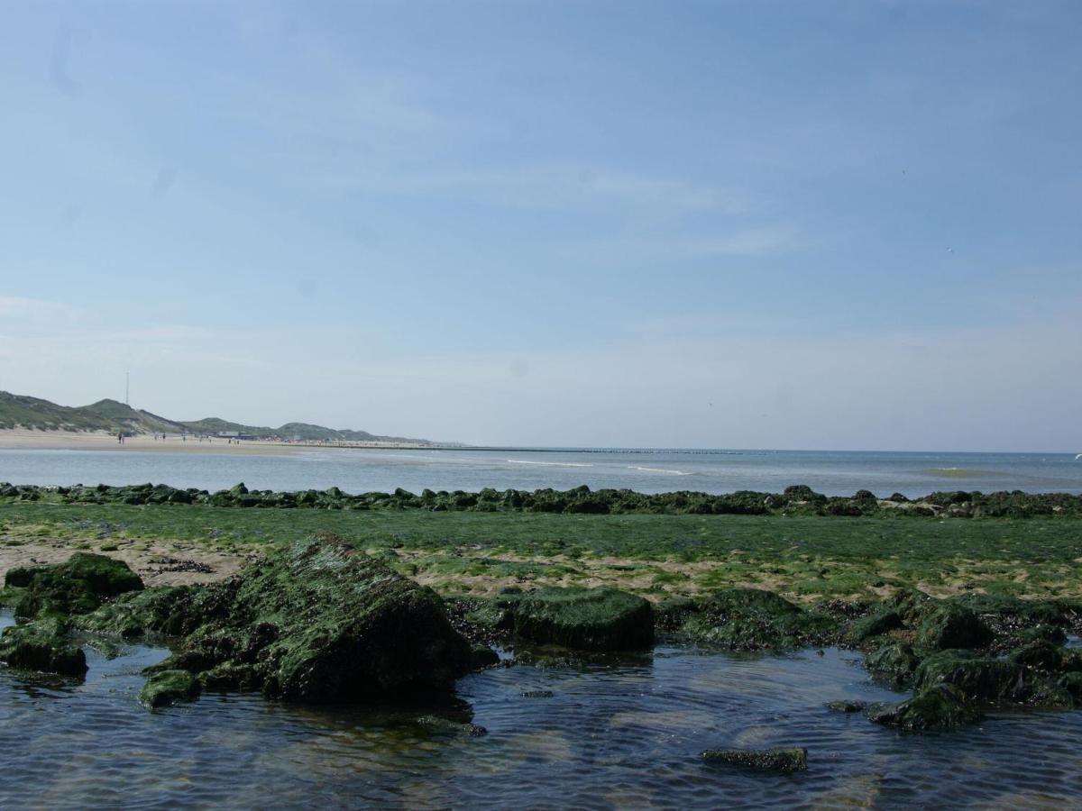 Romantic Holiday Home In Schoorl Near The Sea ภายนอก รูปภาพ